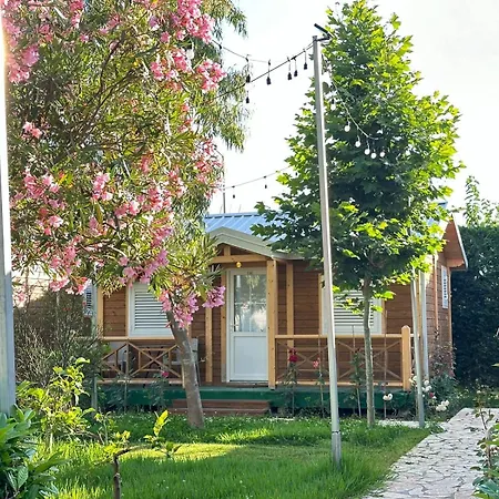 Bianca Resort